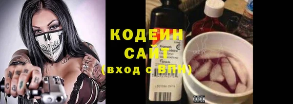 прущий лед Осташков