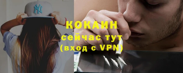 твердый Осинники