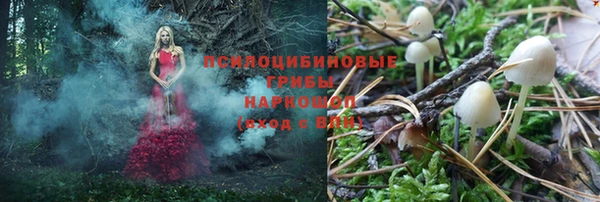твердый Осинники