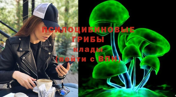 мдпв Вязьма