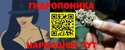 прущие грибы Апшеронск
