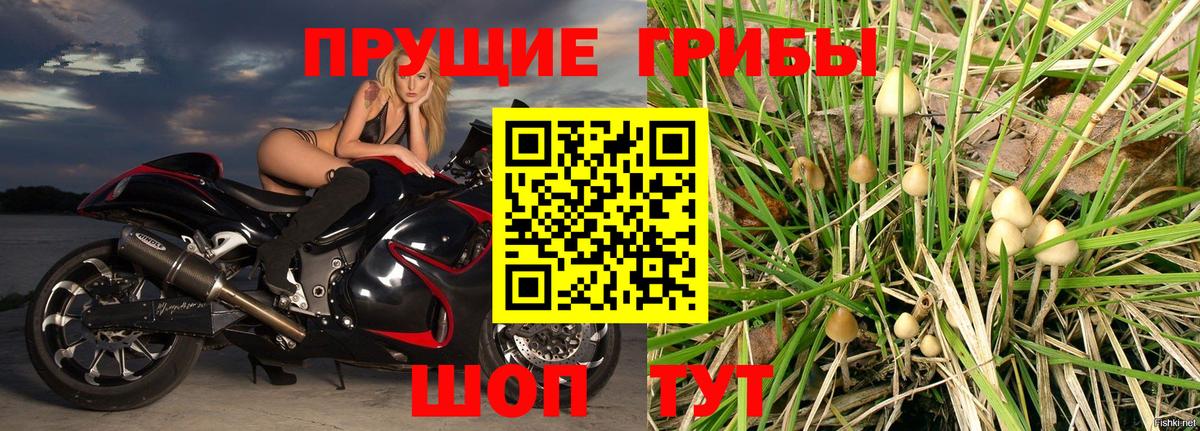 Псилоцибиновые грибы мицелий  Боровичи 