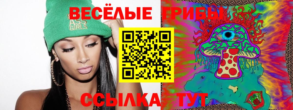 Псилоцибиновые грибы Psilocybine cubensis  Вход с VPN  Боровичи 